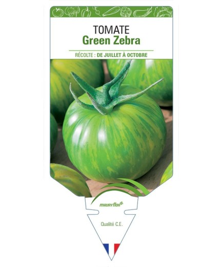 TOMATE GREEN ZEBRA
