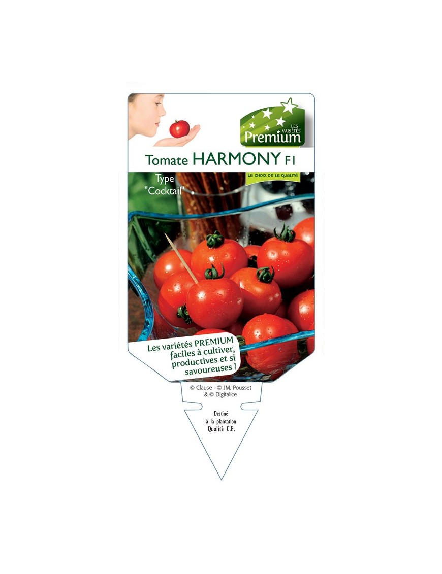 TOMATE HARMONY F1