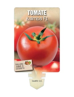 TOMATE KALIMBA F1 *
