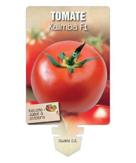 TOMATE KALIMBA F1 *