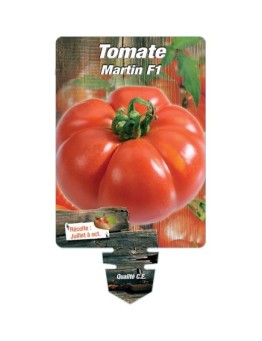 TOMATE MARTIN F1 *
