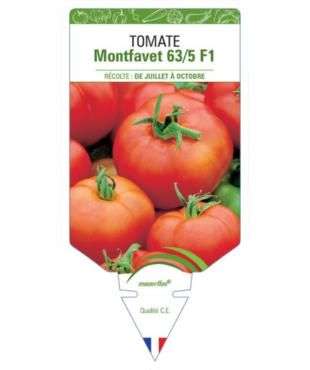 TOMATE MONTFAVET 63/5 F1
