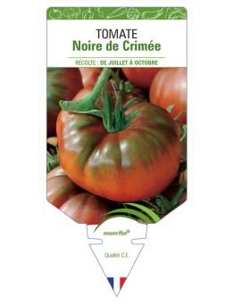 TOMATE NOIRE DE CRIMÉE