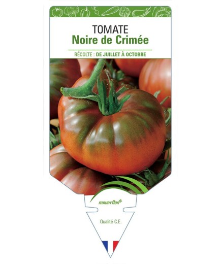 TOMATE NOIRE DE CRIMÉE