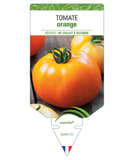 TOMATE ORANGE
