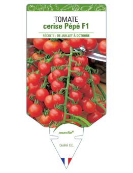 TOMATE CERISE PÉPÉ F1