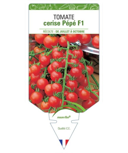 TOMATE CERISE PÉPÉ F1