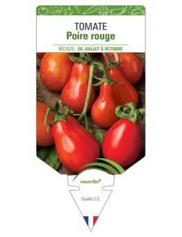 TOMATE POIRE ROUGE