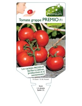 TOMATE GRAPPE PREMIO F1