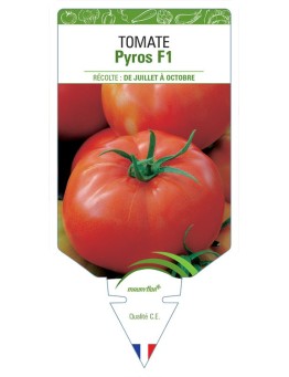 TOMATE PYROS F1