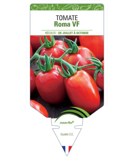 TOMATE ROMA VF