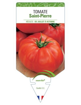 TOMATE SAINT-PIERRE
