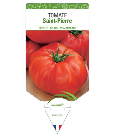 TOMATE SAINT-PIERRE