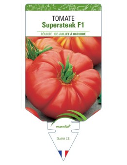 TOMATE SUPERSTEAK F1