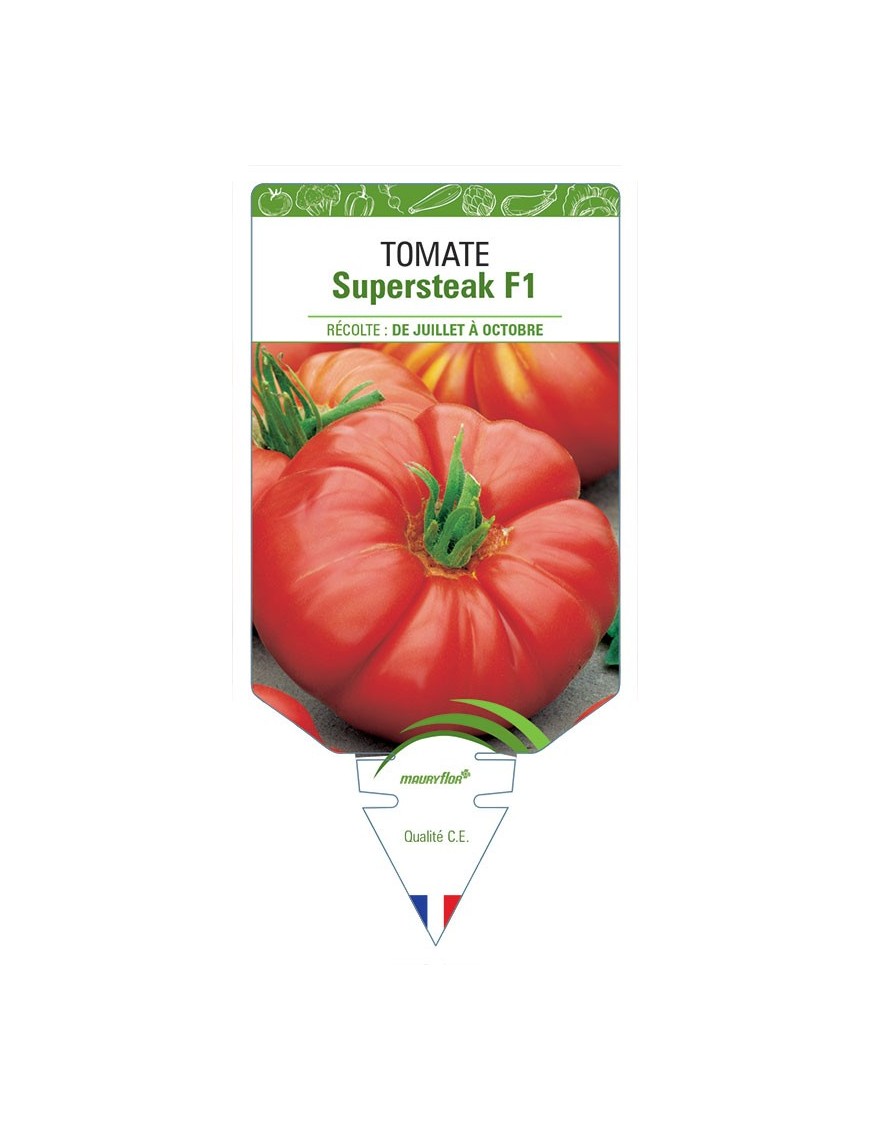 TOMATE SUPERSTEAK F1