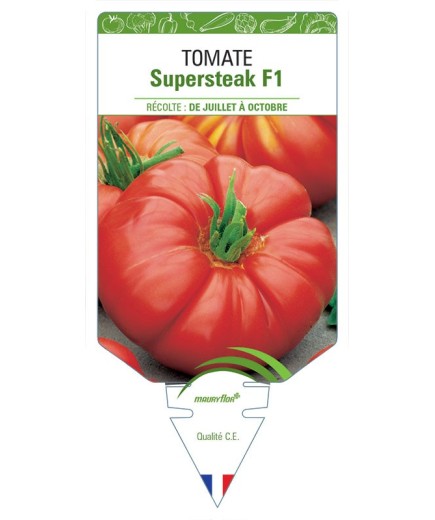 TOMATE SUPERSTEAK F1