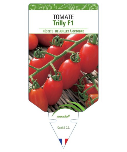 TOMATE TRILLY F1