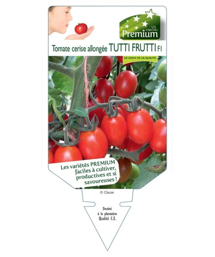 TOMATE cerise allongée TUTTI FRUTTI F1