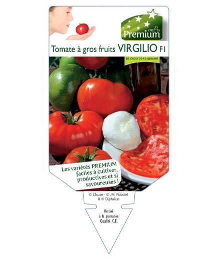 TOMATE à gros fruits VIRGILIO F1 *