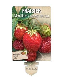 FRAISIER MANILLE ® COV MA 94.73.1 *