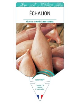 ECHALION