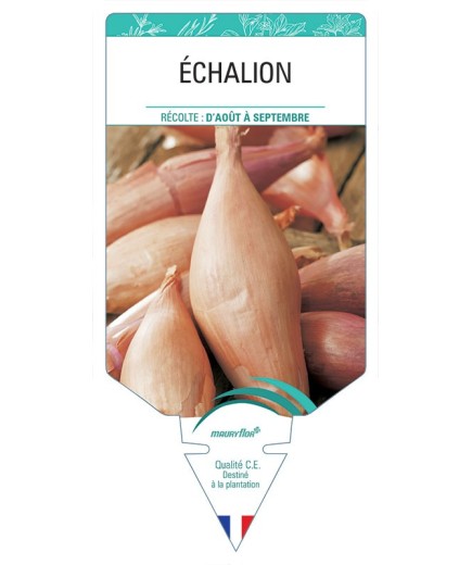 ECHALION