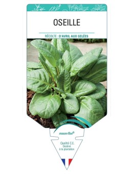 OSEILLE *