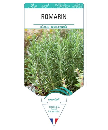 ROMARIN