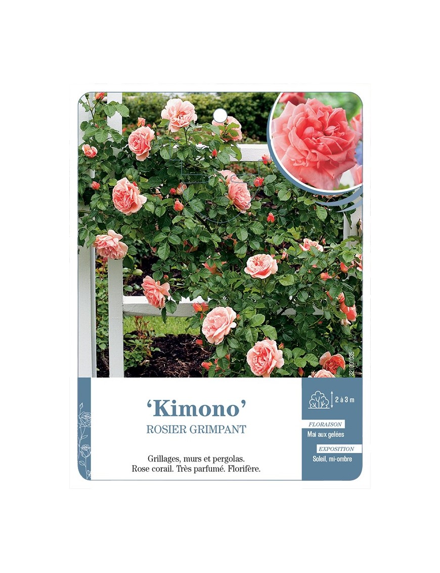 Rosier grimpant Kimono