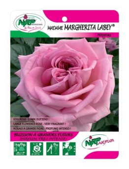 Madame Margherita Labey® Nirpmay
