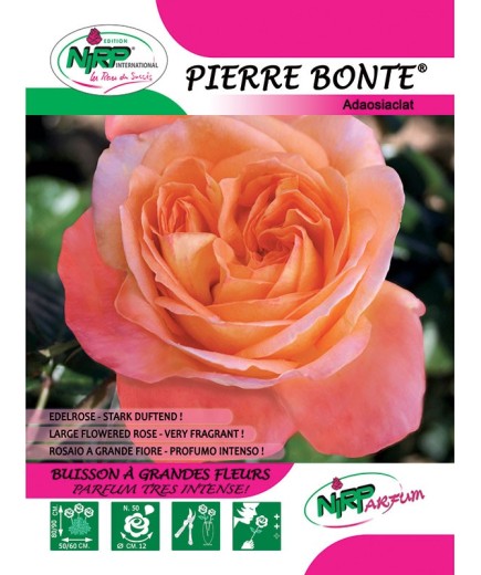 Pierre Bonte® Adaosiaclat