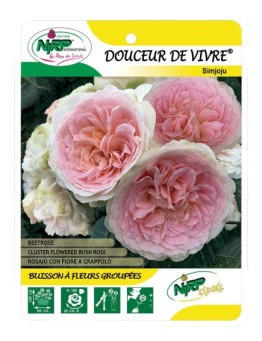 Douceur de Vivre® Simjoju