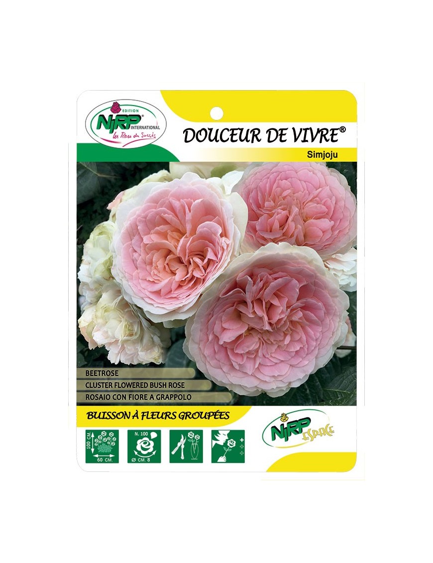Douceur de Vivre® Simjoju