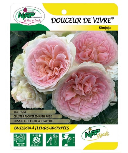 Douceur de Vivre® Simjoju