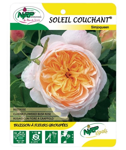 Soleil Couchant® Simjoqueen