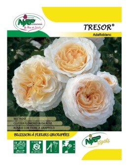 Tresor® Adafloblanc
