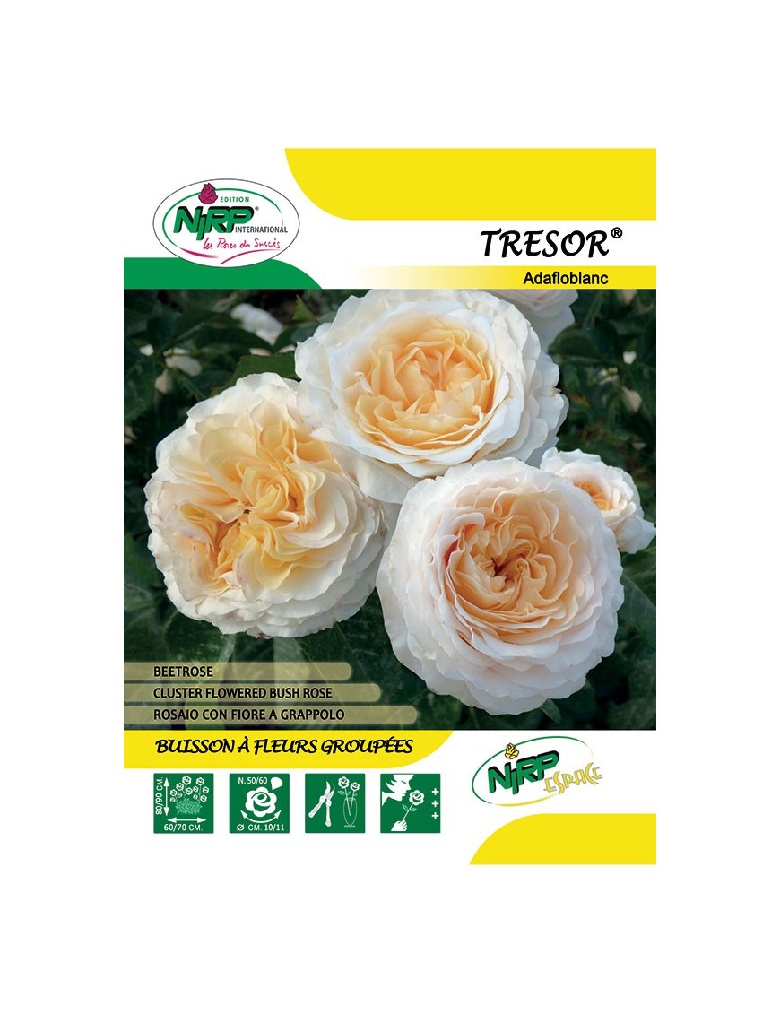Tresor® Adafloblanc