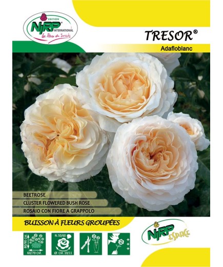 Tresor® Adafloblanc