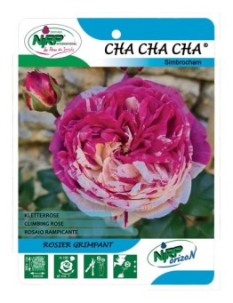 Cha Cha Cha® Simbrocham