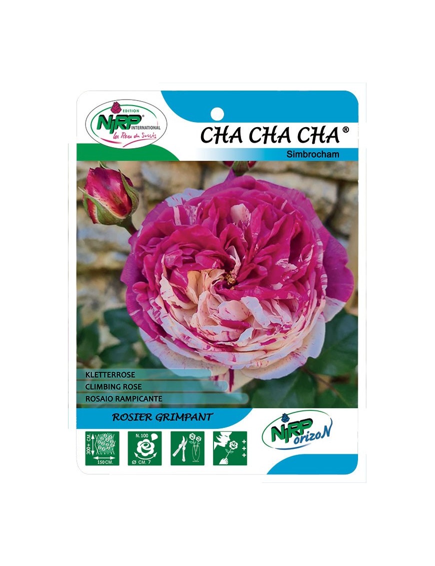 Cha Cha Cha® Simbrocham