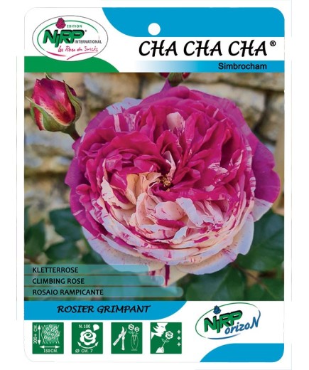 Cha Cha Cha® Simbrocham
