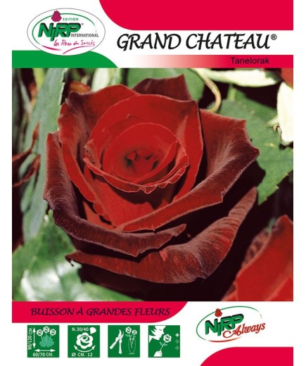 Rosier à grandes fleurs GRAND CHATEAU ® *
