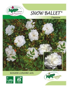 Rosier couvre-sol SNOW BALLET ® *
