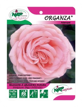 Organza® Aderopat