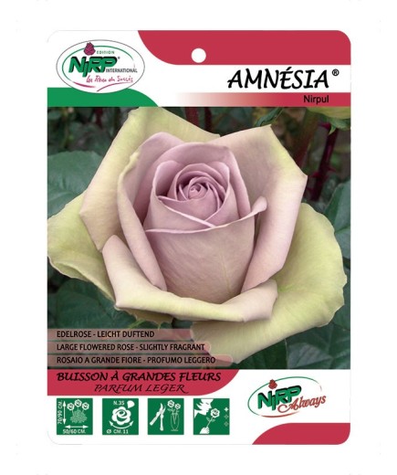Amnésia® Nirpui