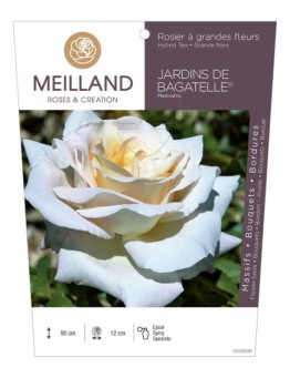 Rosier à grandes fleurs JARDINS DE BAGATELLE ® Meimafris