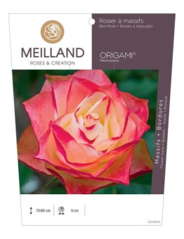 Rosier à massifs ORIGAMI ® Meimozahiq