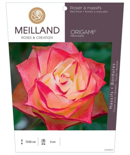 Rosier à massifs ORIGAMI ® Meimozahiq