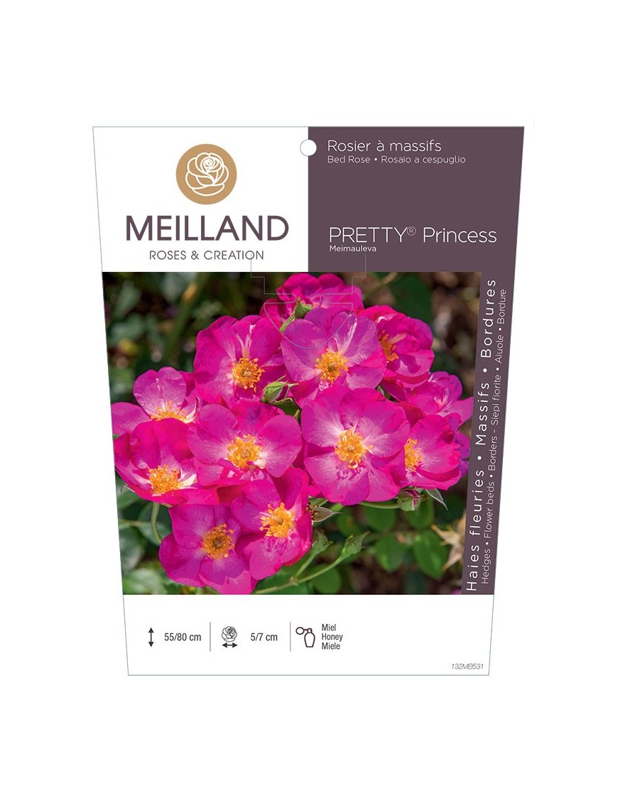 Rosier à massifs PRETTY® Princess Meimauleva