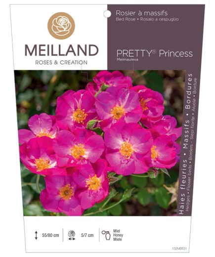 Rosier à massifs PRETTY® Princess Meimauleva
